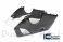 Carbon Fiber Bellypan by Ilmberger Carbon Ducati / Panigale V4 R / 2019