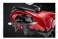 Tail Tidy Fender Eliminator by Evotech Performance Ducati / Streetfighter V4 SP / 2023