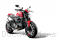  Ducati / Monster 950 / 2021