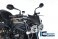 Carbon Fiber Windscreen by Ilmberger Carbon Triumph / Street Triple R / 2012