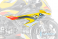  BMW / M1000RR / 2021