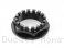 Rear Sprocket Carrier Nut by Ducabike Ducati / Monster 796 / 2011