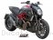 Oval Exhaust by SC-Project Ducati / Diavel / 2011