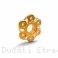 6 Hole Bi-color Rear Sprocket Carrier Flange Cover by Ducabike Ducati / Streetfighter V4 / 2021