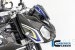 Carbon Fiber Front Fairing by Ilmberger Carbon BMW / S1000R / 2015