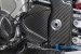 Carbon Fiber Sprocket Cover by Ilmberger Carbon BMW / S1000R / 2015