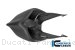 Carbon Fiber RACE VERSION Solo Seat Tail by Ilmberger Carbon Ducati / Panigale V4 R / 2019