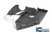 Carbon Fiber Bellypan by Ilmberger Carbon