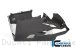 Carbon Fiber Bellypan by Ilmberger Carbon Ducati / Panigale V4 S / 2018