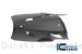 Carbon Fiber Bellypan by Ilmberger Carbon Ducati / Panigale V4 / 2019