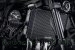 Radiator Guard by Evotech Performance Kawasaki / Z900RS / 2020