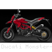  Ducati / Monster 1100 / 2010