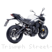  Triumph / Street Triple Moto2 765 / 2024