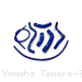  Yamaha / Tenere 700 / 2019