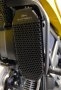 Oil Cooler Guard by Evotech Performance Ducati / Scrambler 800 / 2017