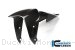 Carbon Fiber Front Fender by Ilmberger Carbon Ducati / Monster 1200 / 2020