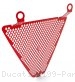 Lower Radiator Guard by Ducabike Ducati / 1199 Panigale S / 2013