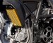 Aluminum Oil Cooler Guard by Ducabike Ducati / Scrambler 800 / 2015