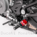  Ducati / Monster 937+ / 2024