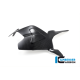 Carbon Fiber Swingarm Cover by Ilmberger Carbon
